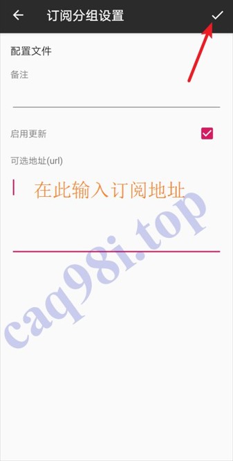 节点订阅详情